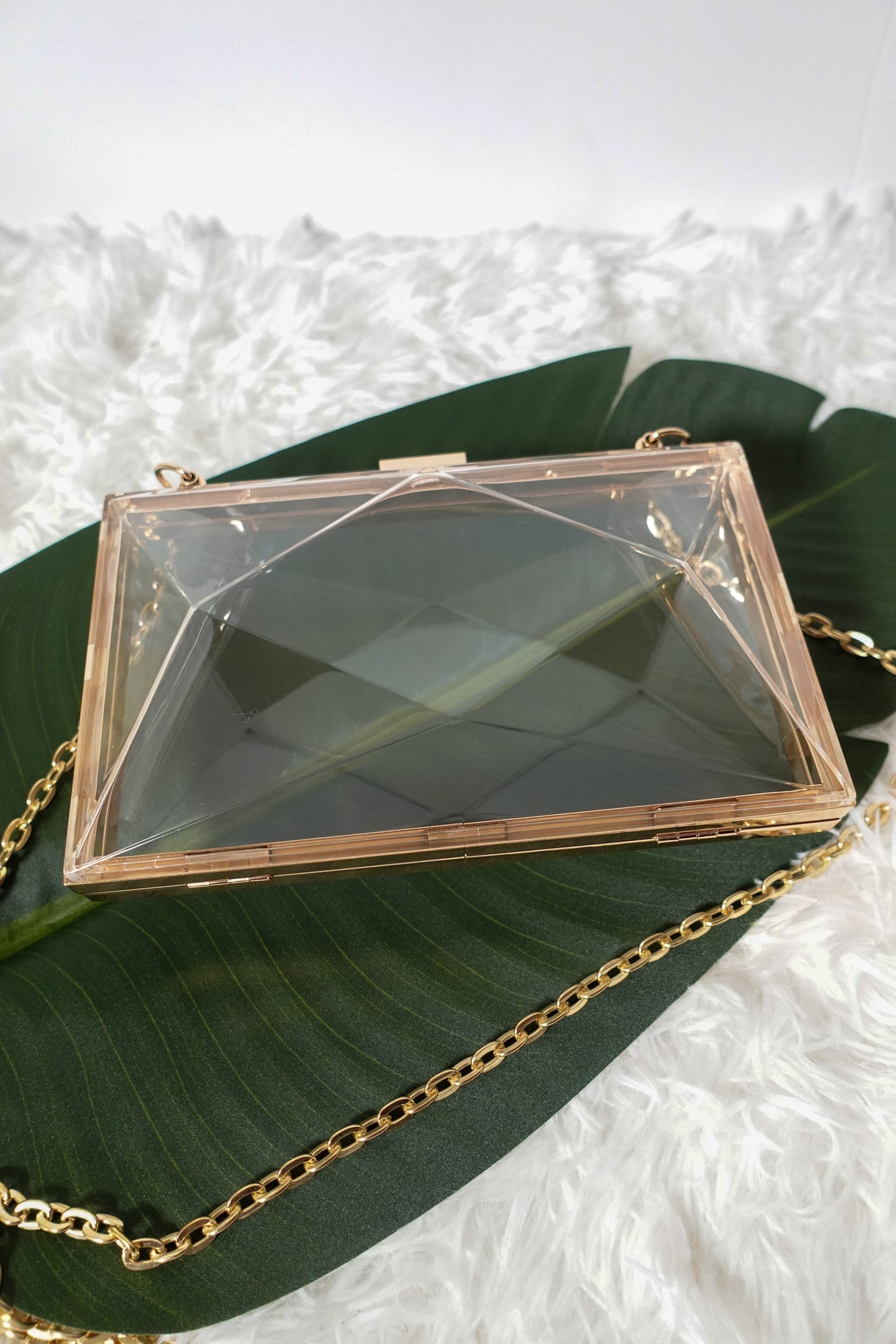 Mini Clear Bag