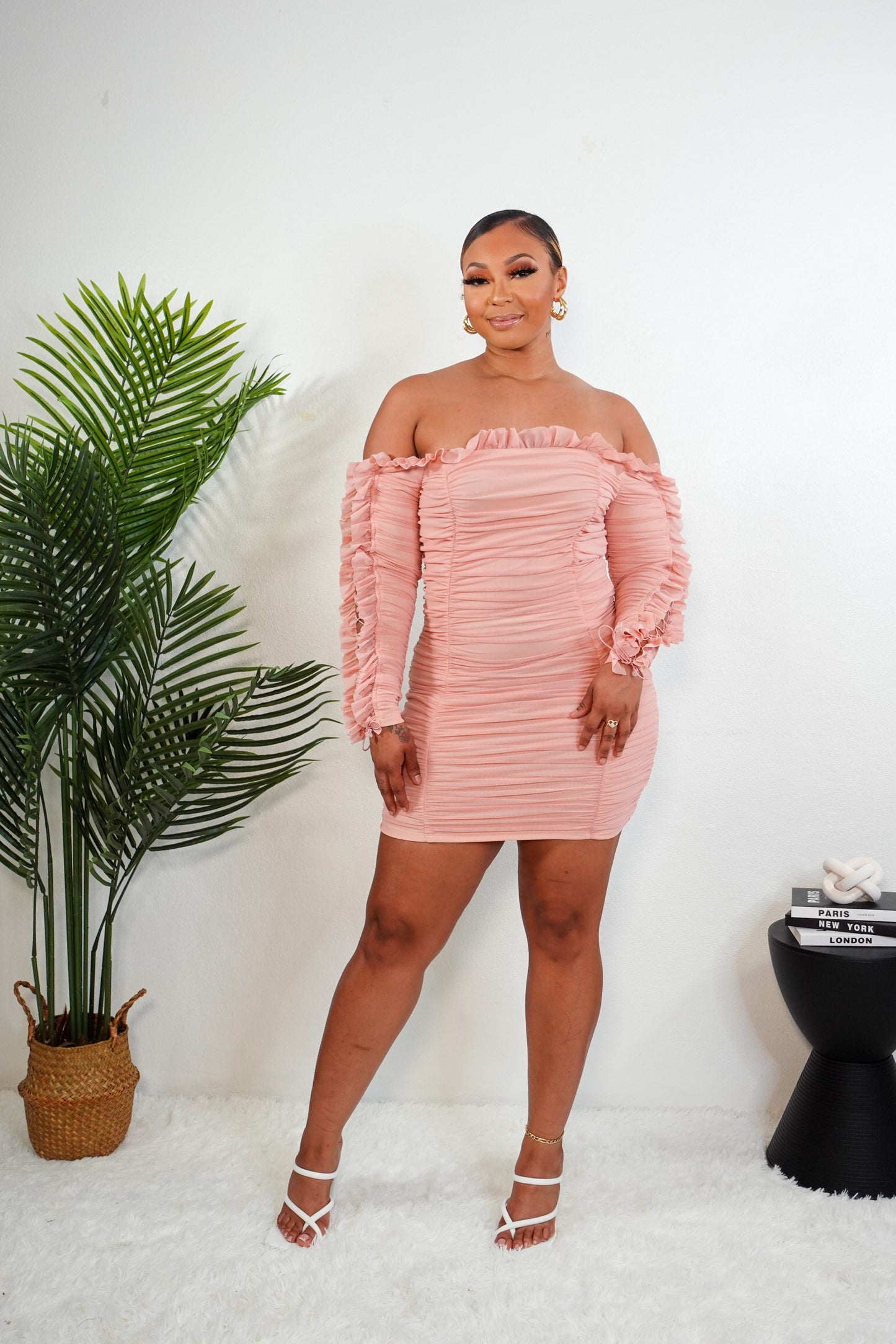 'Finer Things" Mesh Dress